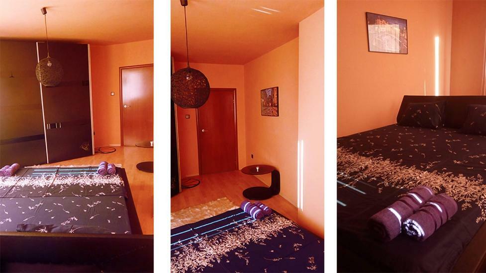 Aya'S Apartment 普罗夫迪夫 外观 照片